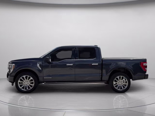2021 Smoked Quartz Metallic Tinted Clearcoat Ford F-150 Limited 4X4 Truck