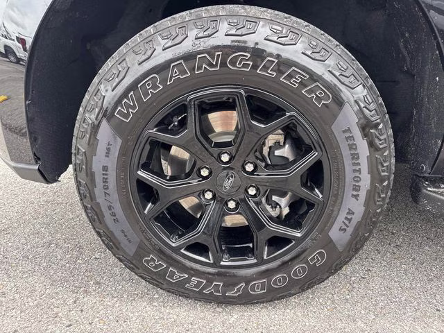 2024 Black Metallic Ford Expedition Timberline 4X4 SUV
