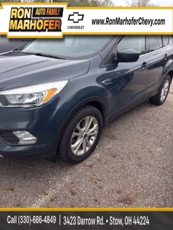 2019 Sea Green Ford Escape SE FWD SUV