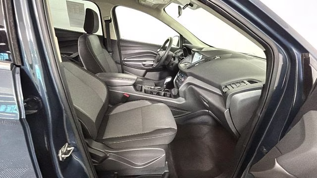 2019 Sea Green Ford Escape SE FWD SUV