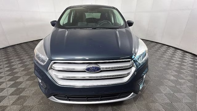 2019 Sea Green Ford Escape SE FWD SUV