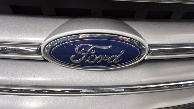 2019 Sea Green Ford Escape SE FWD SUV