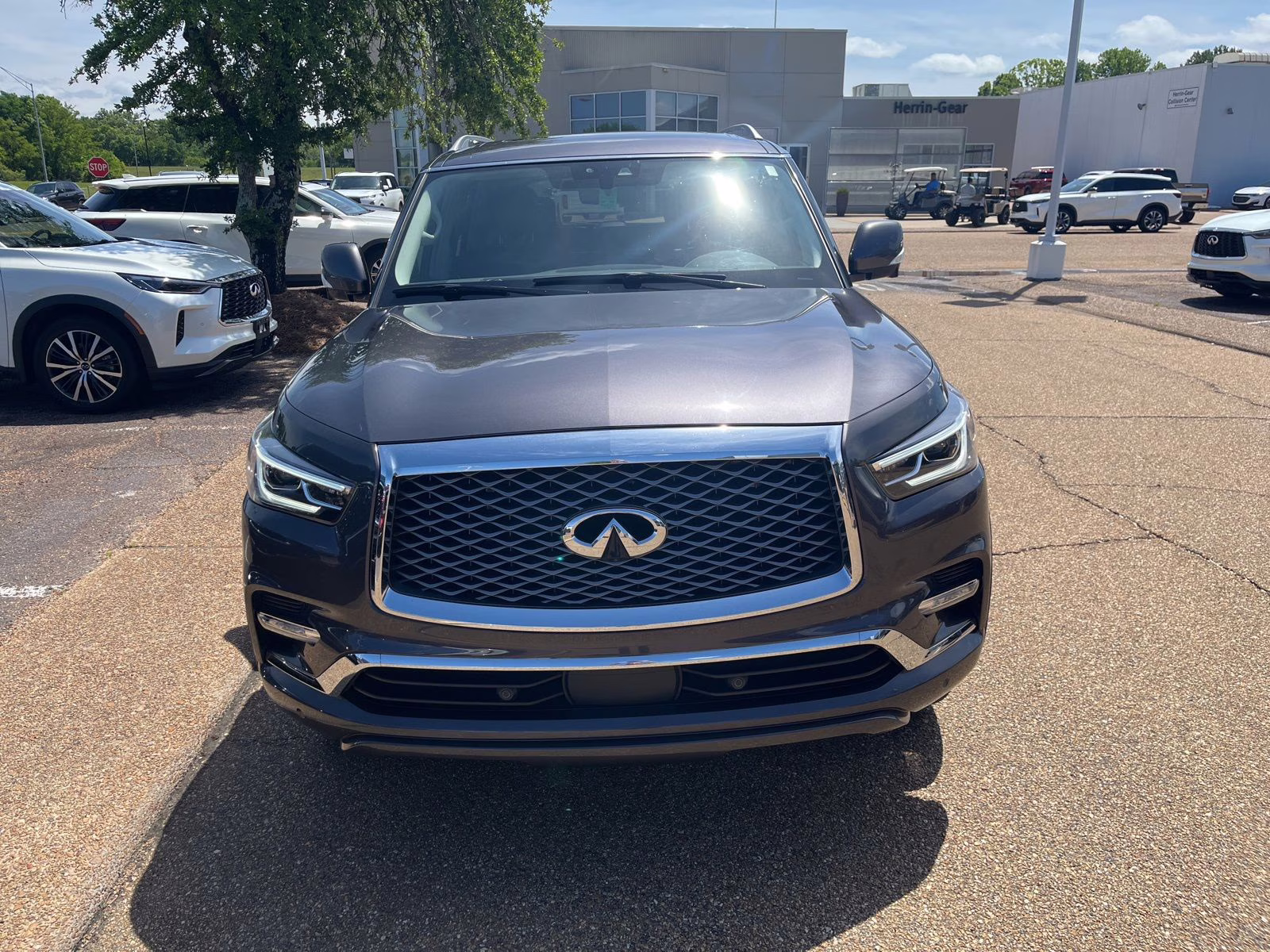2023 Anthracite Gray INFINITI QX80 LUXE RWD SUV