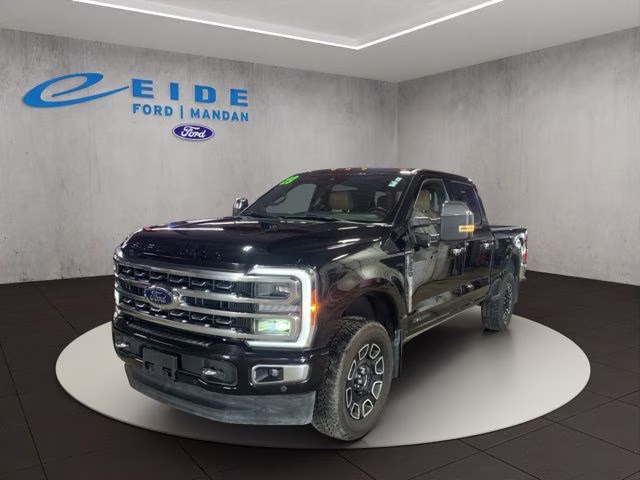 2023 Agate Black Metallic Ford Super Duty F-250 SRW Platinum 4X4 Truck