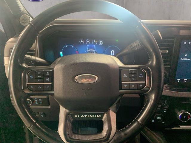 2023 Agate Black Metallic Ford Super Duty F-250 SRW Platinum 4X4 Truck