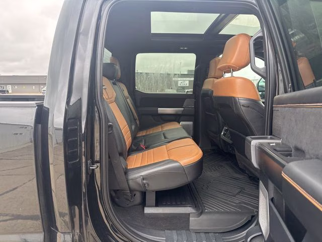 2023 Agate Black Metallic Ford Super Duty F-250 SRW Platinum 4X4 Truck