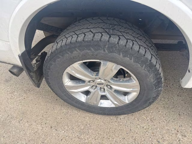 2018 White Ford F-150 Platinum 4X4 Truck