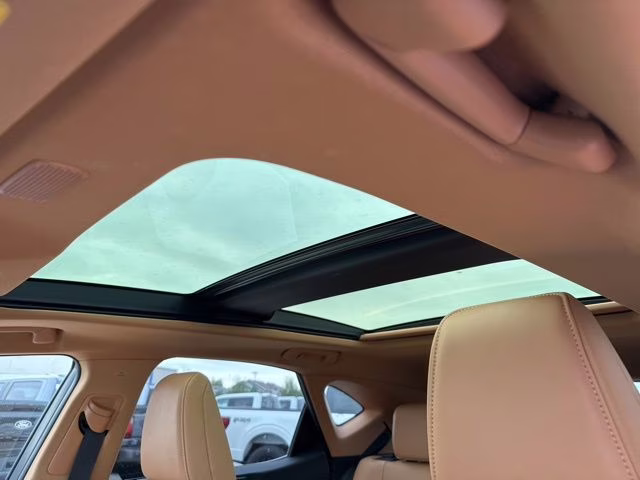 2024 White Pearl Lexus NX 350h Luxury AWD SUV