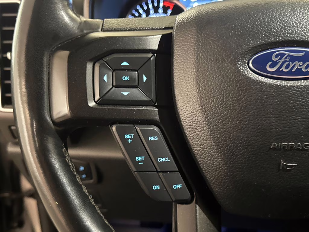 2019 Ingot Silver Metallic Ford Expedition Limited 4X4 SUV