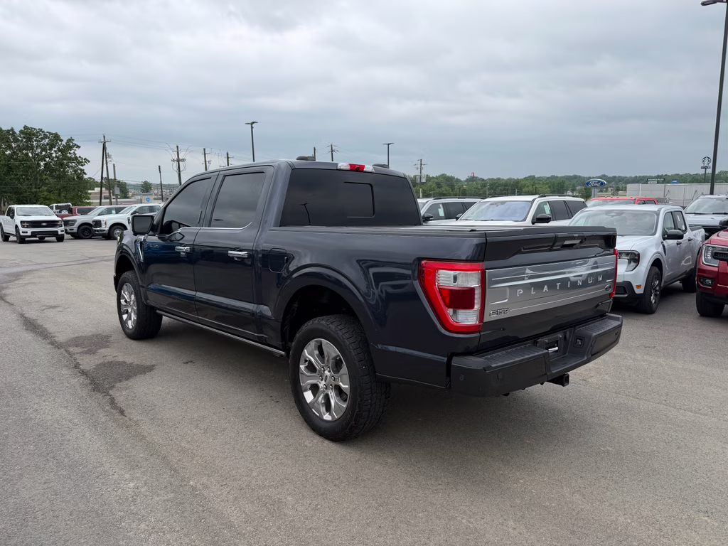 2021 Smoked Quartz Metallic Tinted Clearcoat Ford F-150 Platinum 4X4 Truck