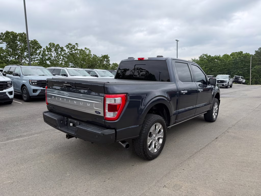 2021 Smoked Quartz Metallic Tinted Clearcoat Ford F-150 Platinum 4X4 Truck