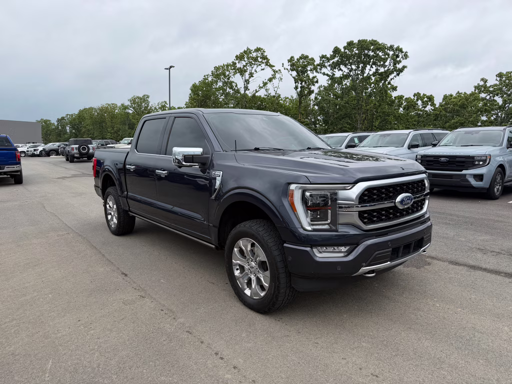 2021 Smoked Quartz Metallic Tinted Clearcoat Ford F-150 Platinum 4X4 Truck
