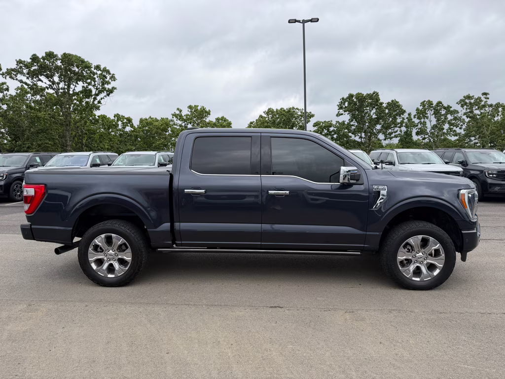 2021 Smoked Quartz Metallic Tinted Clearcoat Ford F-150 Platinum 4X4 Truck