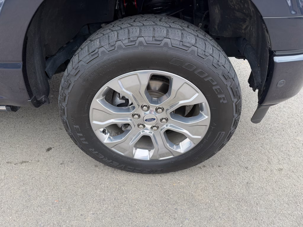 2021 Smoked Quartz Metallic Tinted Clearcoat Ford F-150 Platinum 4X4 Truck