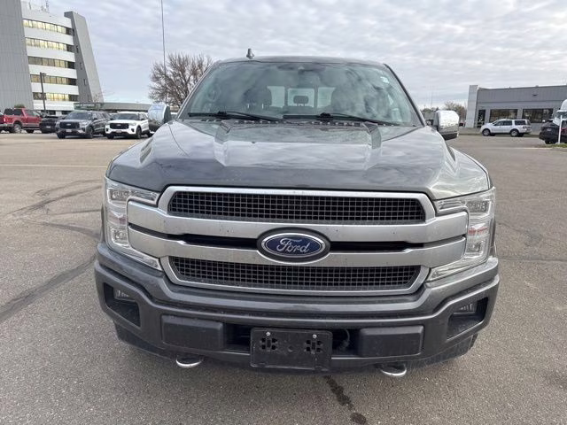 2019 Magnetic Metallic Ford F-150 Platinum 4X4 Truck