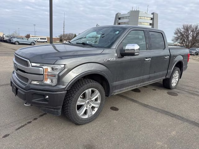 2019 Magnetic Metallic Ford F-150 Platinum 4X4 Truck