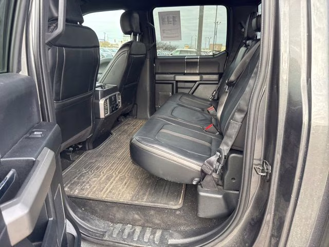 2019 Magnetic Metallic Ford F-150 Platinum 4X4 Truck