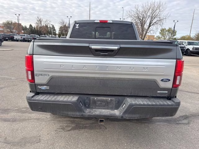 2019 Magnetic Metallic Ford F-150 Platinum 4X4 Truck