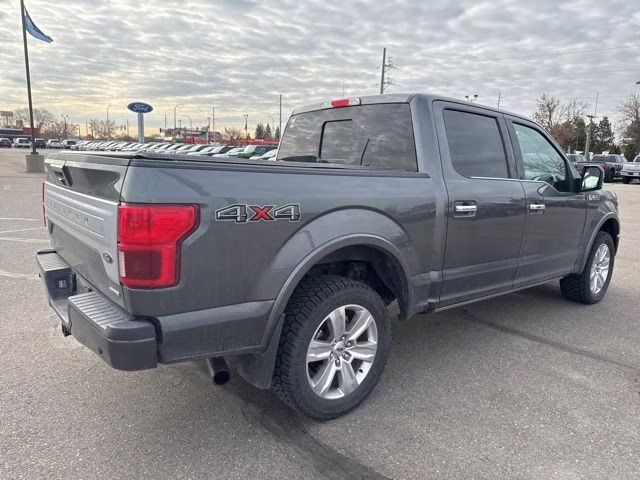 2019 Magnetic Metallic Ford F-150 Platinum 4X4 Truck