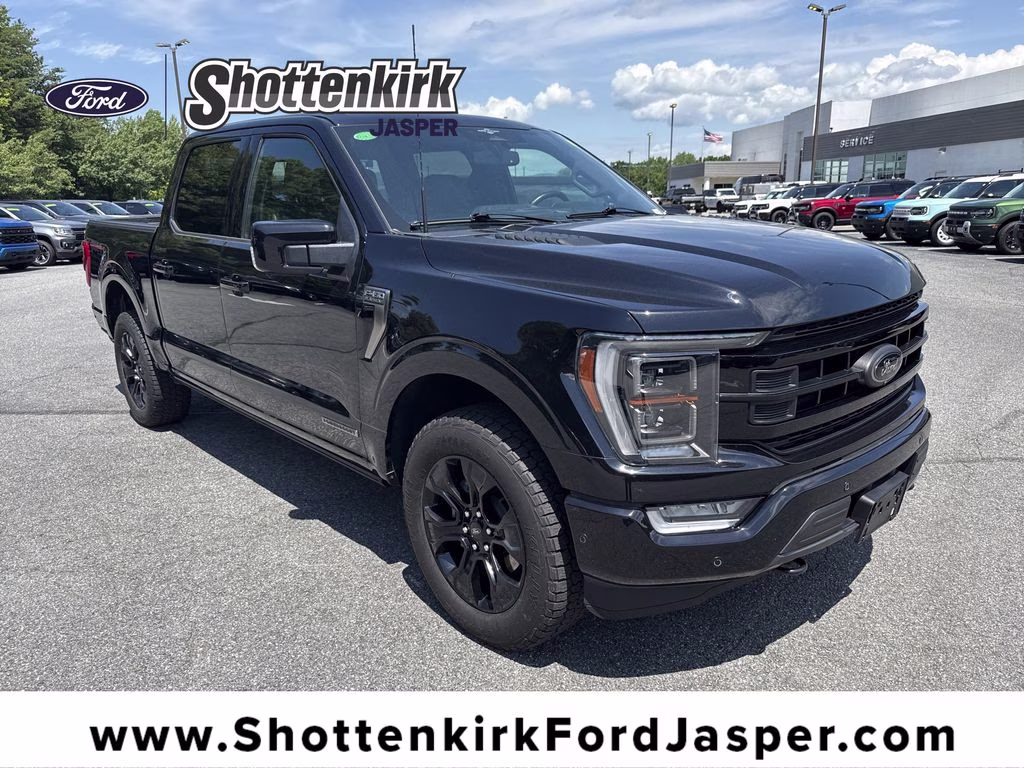 2023 Agate Black Metallic Ford F-150 Platinum 4X4 Truck