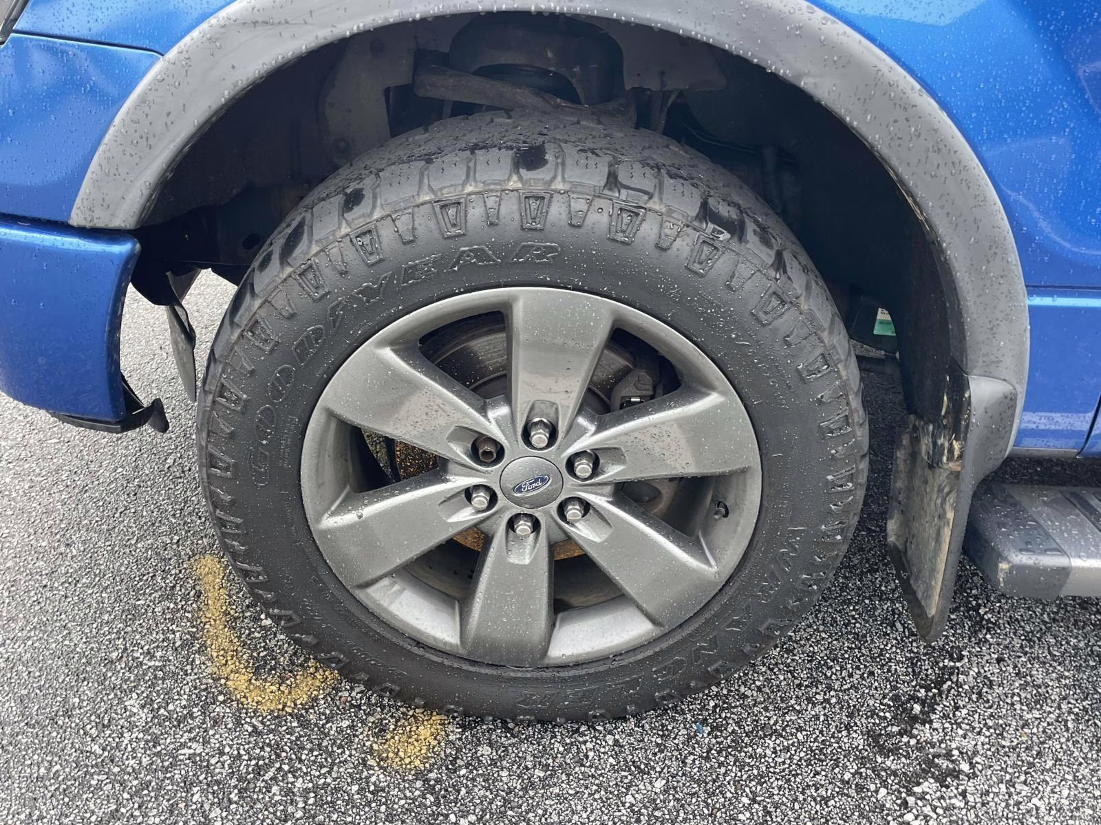 2014 Blue Flame Metallic Ford F-150 FX4 4X4 Truck