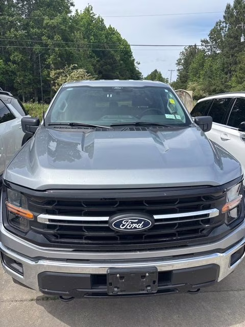 2025 Silver Ford F-150 XLT 4X4 Truck
