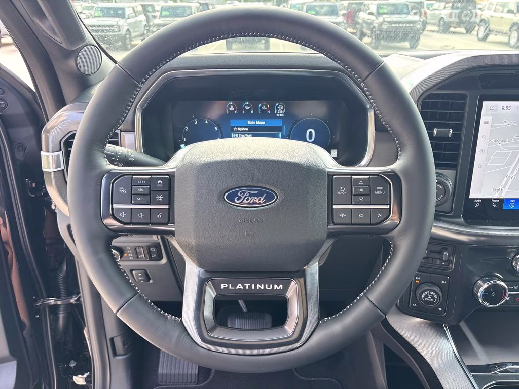 2026 Black Metallic Ford F-150 Platinum 4X4 Truck