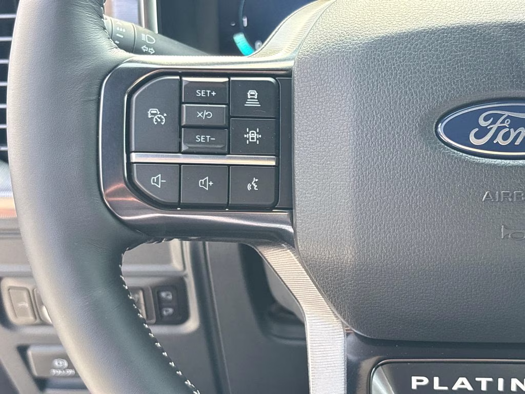 2026 Black Metallic Ford F-150 Platinum 4X4 Truck