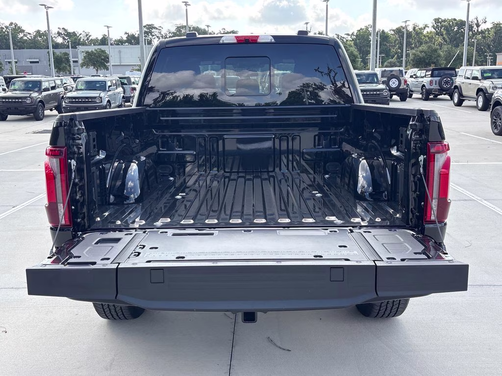 2026 Black Metallic Ford F-150 Platinum 4X4 Truck