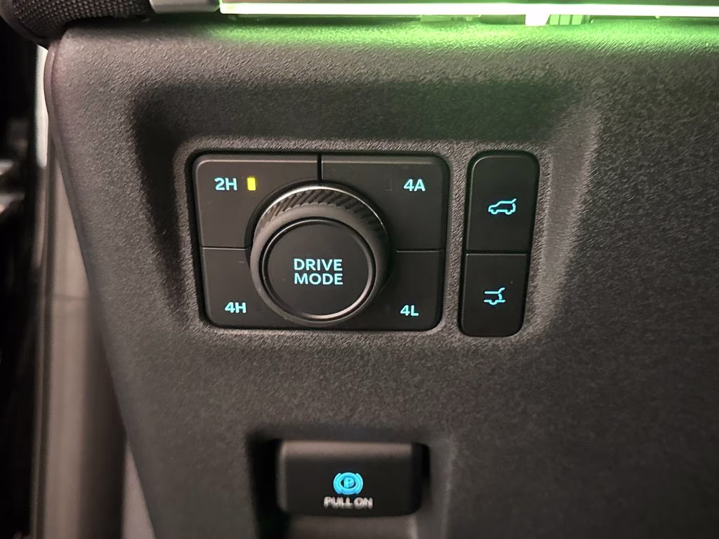 2025 Agate Black Metallic Ford Expedition Max Platinum 4X4 SUV