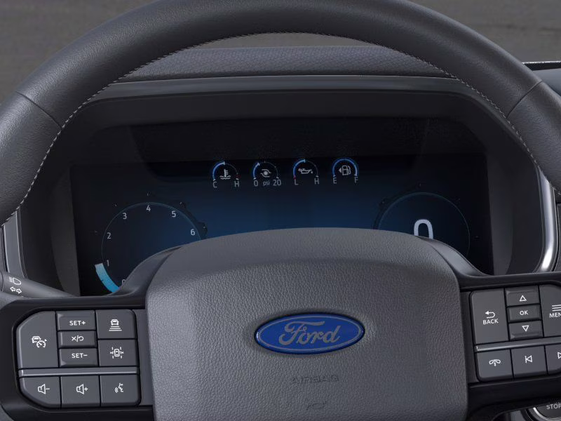 2026 Black Ford F-150 Platinum 4X4 Truck