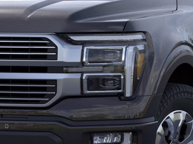 2026 Black Ford F-150 Platinum 4X4 Truck