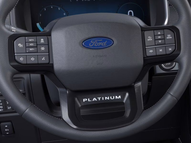 2026 Black Ford F-150 Platinum 4X4 Truck