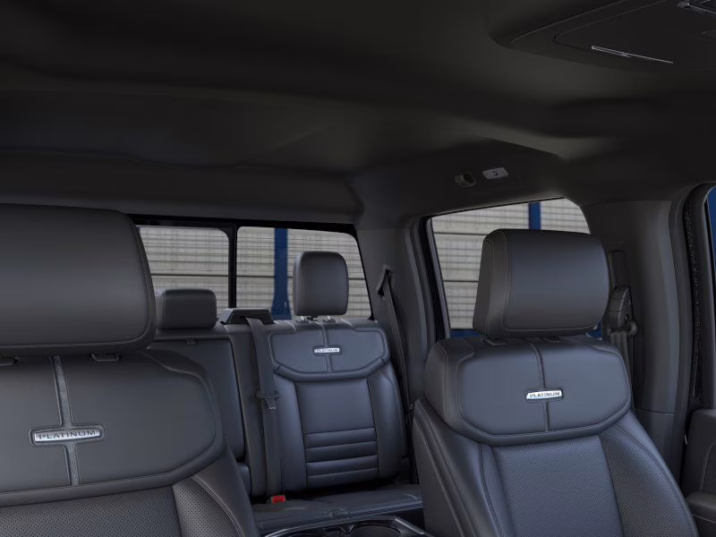 2026 Black Ford F-150 Platinum 4X4 Truck