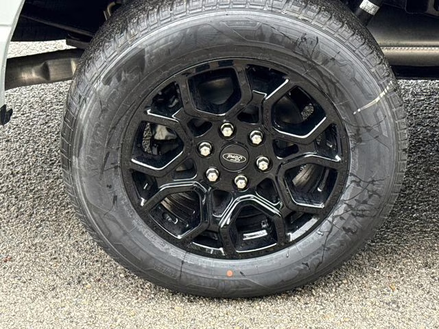 2026 Avalanche Ford F-150 XLT RWD Truck