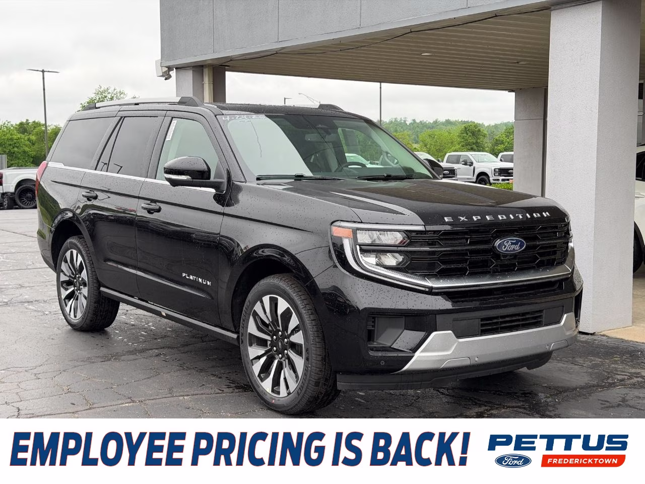 2026 Agate Black Metallic Ford Expedition Platinum 4X4 SUV