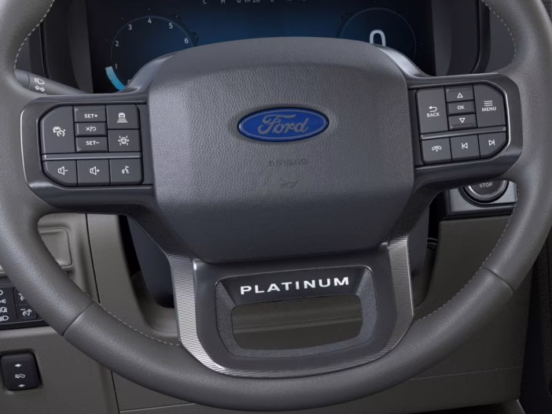 2026 Marsh Gray Ford F-150 Platinum 4X4 Truck