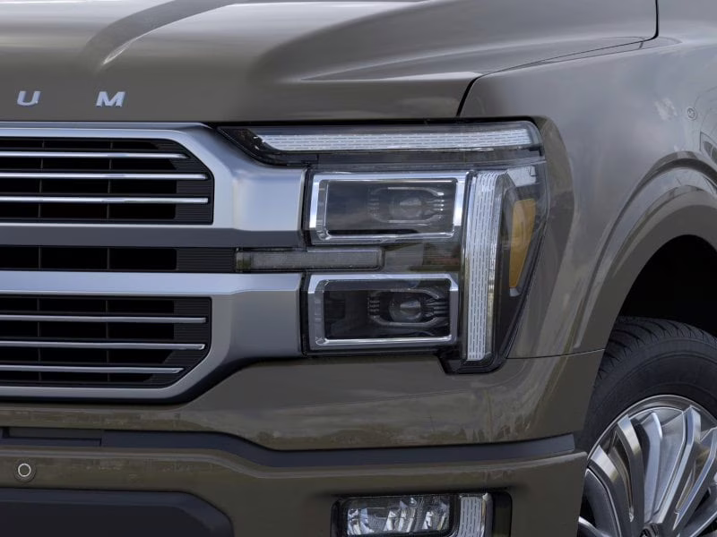 2026 Marsh Gray Ford F-150 Platinum 4X4 Truck