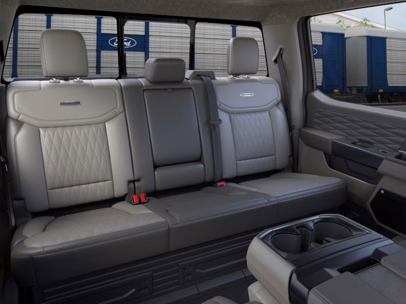 2026 Marsh Gray Ford F-150 Platinum 4X4 Truck