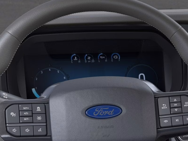 2026 Marsh Gray Ford F-150 Platinum 4X4 Truck