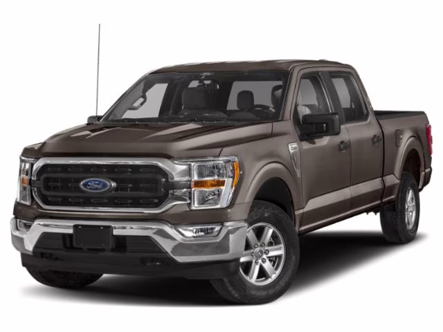 2021 Stone Gray Ford F-150 XLT 4X4 Truck