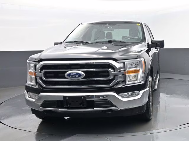 2023 Black Ford F-150 XLT 4X4 Truck