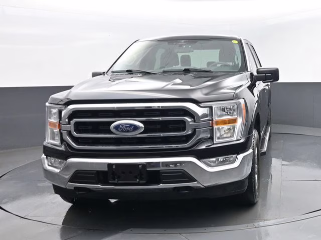 2023 Black Ford F-150 XLT 4X4 Truck