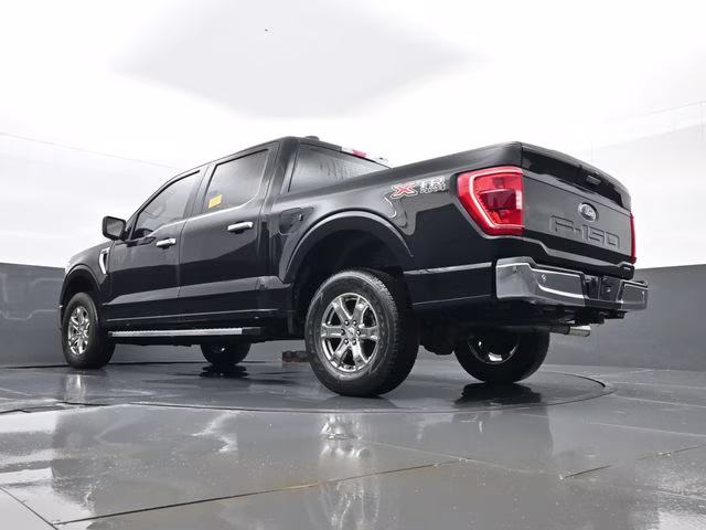 2023 Black Ford F-150 XLT 4X4 Truck