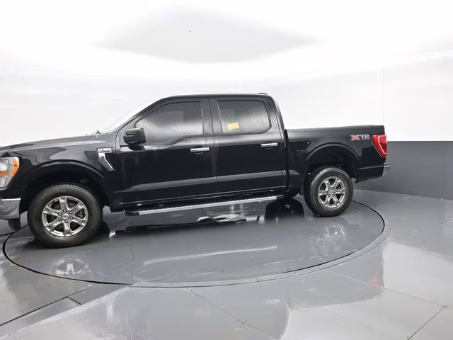 2023 Black Ford F-150 XLT 4X4 Truck