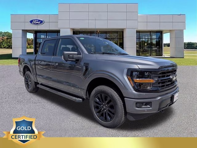 2025 Gray Metallic Ford F-150 XLT 4X4 Truck