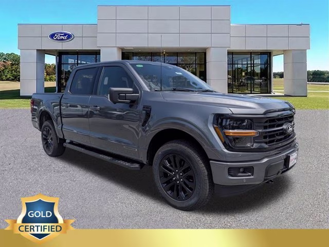 2025 Gray Metallic Ford F-150 XLT 4X4 Truck