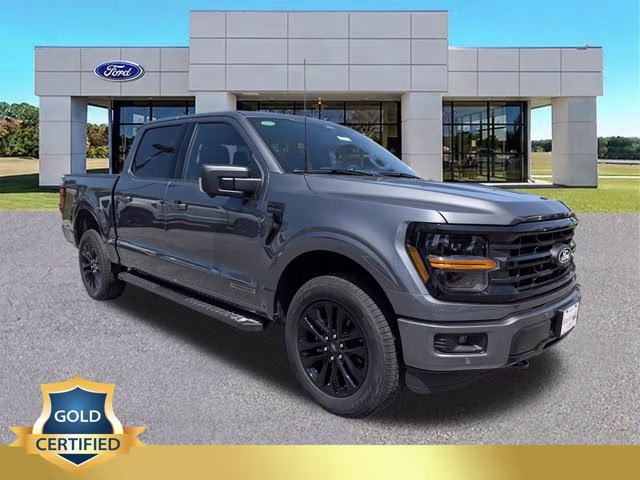 2025 Gray Metallic Ford F-150 XLT 4X4 Truck
