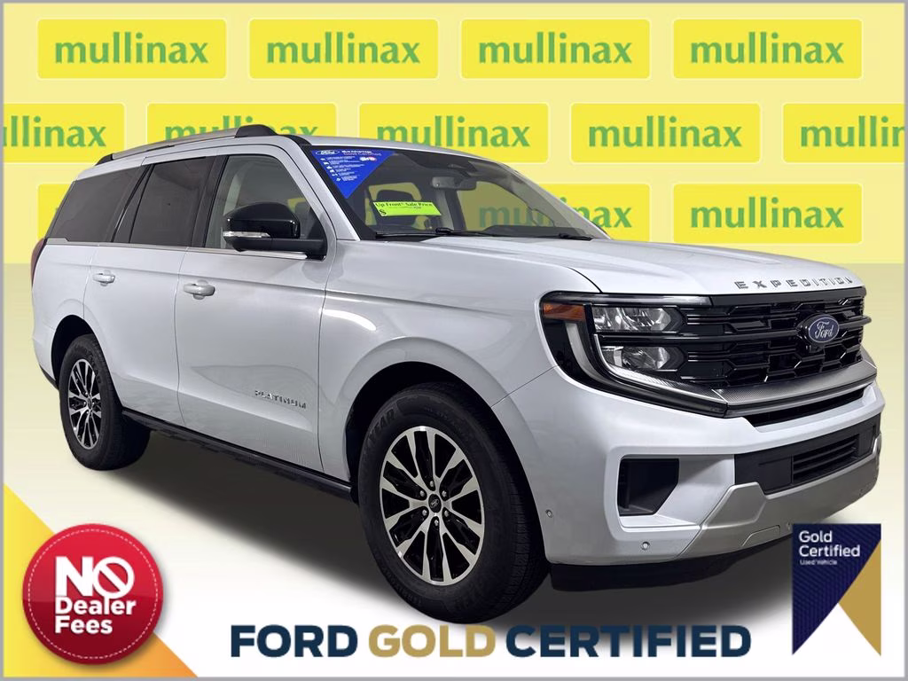 2025 Ford Expedition Platinum 4x4's photo