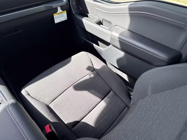 2026 Black Ford F-150 XLT RWD Truck
